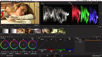 Davinci Resolve Course captura de pantalla 3