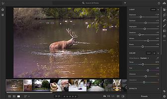 Lightroom Complete Course imagem de tela 2