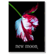New Moon | The Twilight Saga