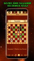 ChessGuess скриншот 2