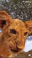 Petit Roi Lion des Bêtes LWP capture d'écran 2