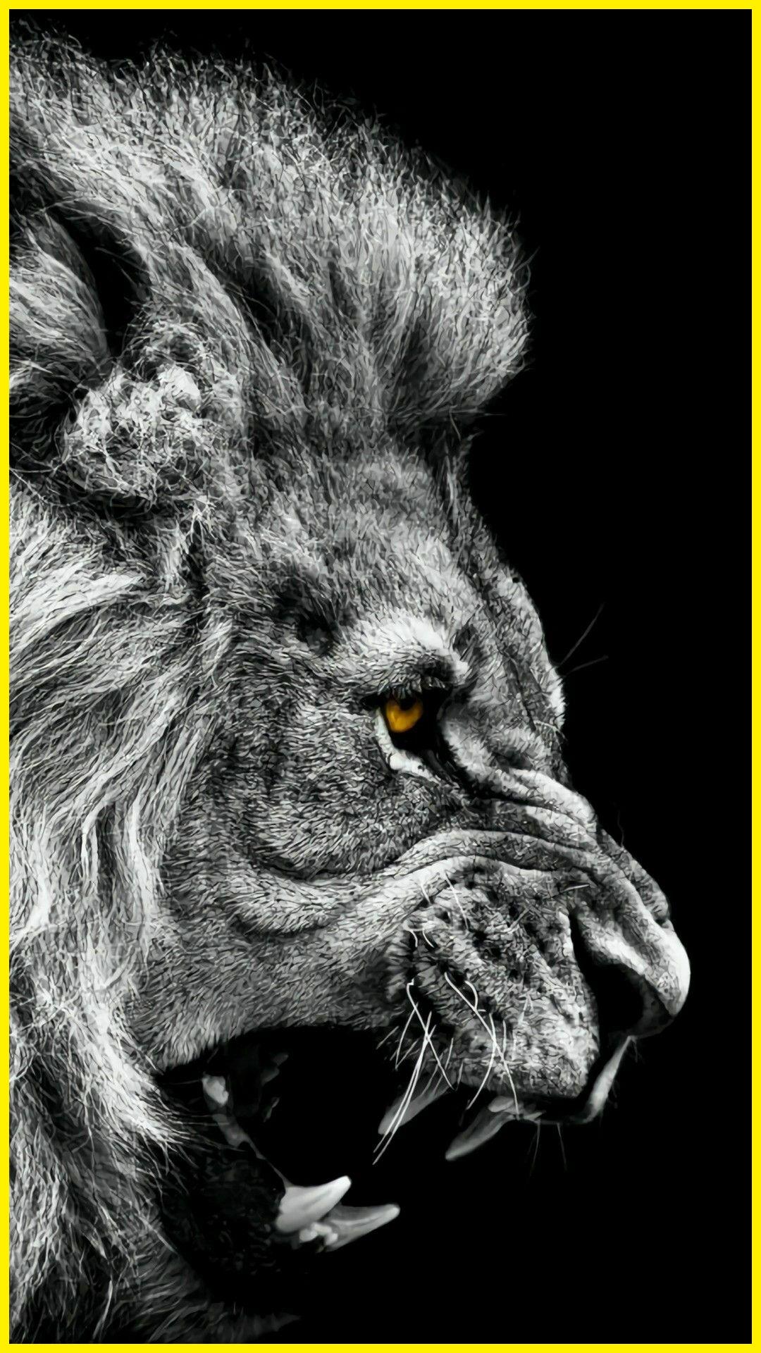 下载Lion Wallpaper HD的安卓版本 下载Lion Wallpaper HD的安卓版本