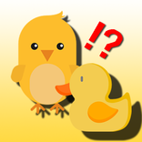 미운 병아리 새끼