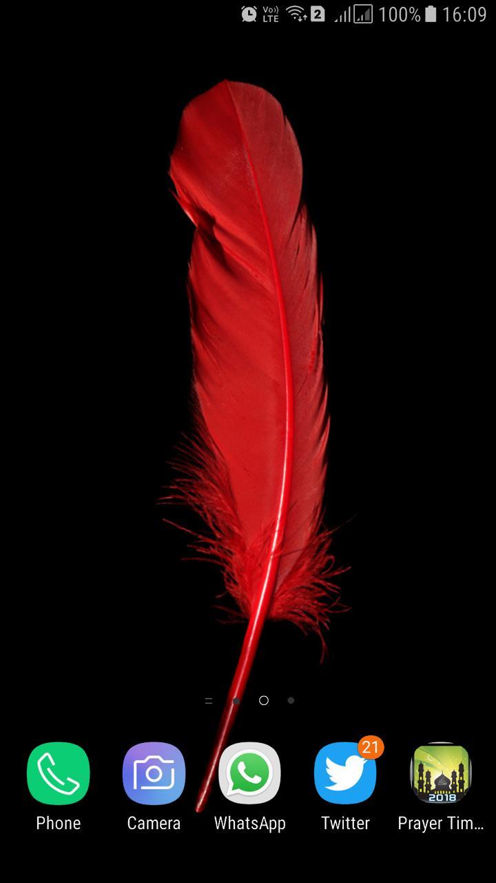 Hd Feather Wallpaper For Android Apk Download