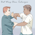 Best Wing Chun Training Guide 图标