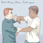 Best Wing Chun Training Guide icon