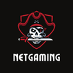 NetGaming PC Game on Phone