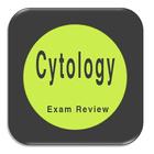 Cytology Exam Review concepts, icône