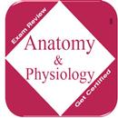 Anatomy & Physiology: Exam Rev APK