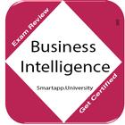 Business Intelligence: N & Q ícone