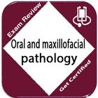 Oral and maxillofacial patholo ícone