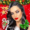 Merry Christmas Stickers