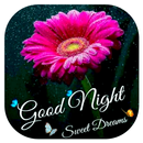 Good Night Images Gif 2019 APK