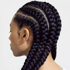 African Braids Hairstyles 2024 icône