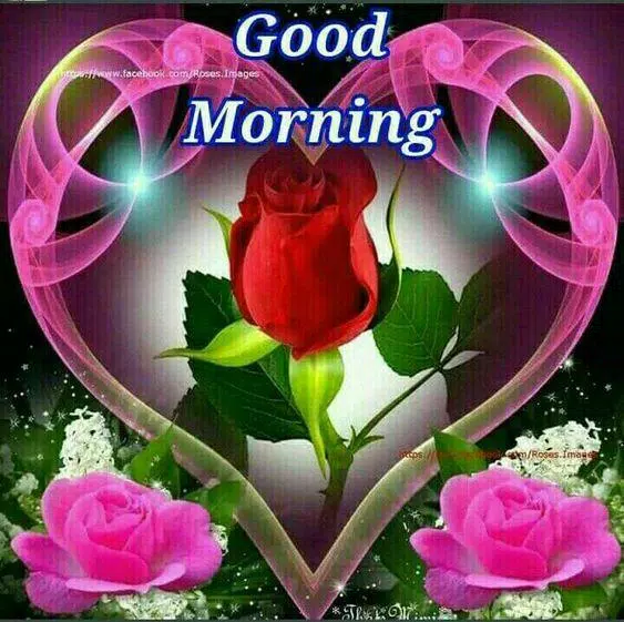 Good Morning Night Gif Apk For Android Download Good Morning Night Gif Apk For Android Download