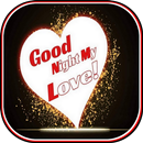 Night Flowers Images Gif 2019 APK