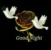 Good Night Images GIF 2020 स्क्रीनशॉट 1