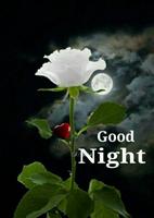 Good Night Images GIF 2020 स्क्रीनशॉट 3