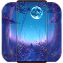 Night Wallpaper 4K APK