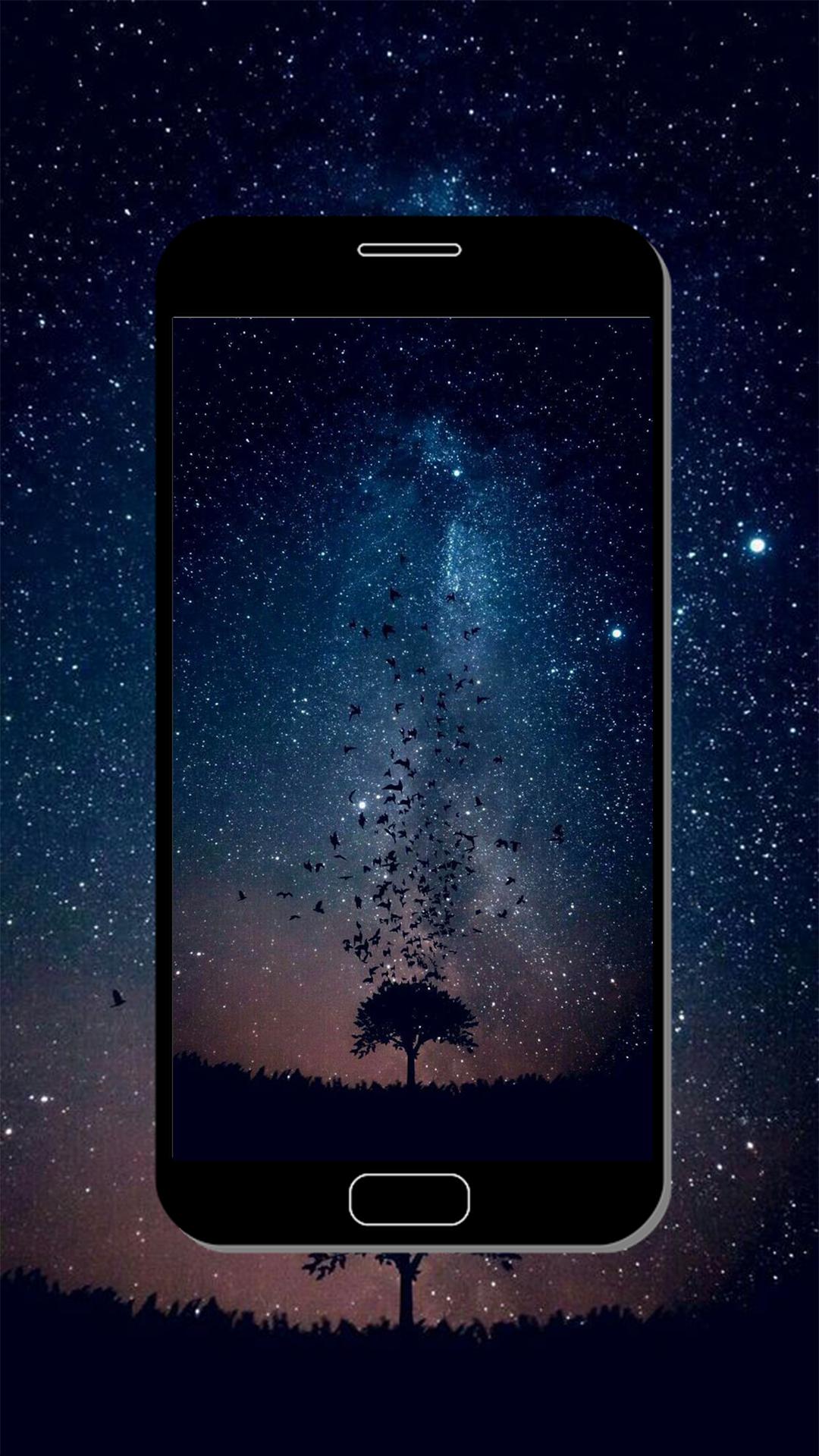 Night Wallpaper 11