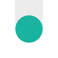 Brain Dash