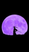 Ninja Wallpapers تصوير الشاشة 2