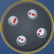Ball Bonanza