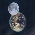 The Moon