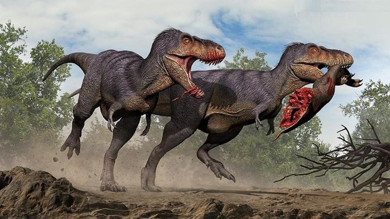 Crianças dinossauro unir os pontos - Jogo oficial na Microsoft Store