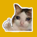 funny meme stickers for WSP APK