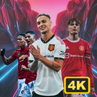 Manchester United Wallpaper 4K icône