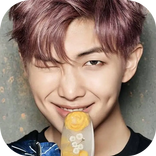 RM BTS Stickers For WA