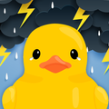 The Duck is Stuck