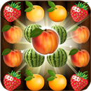 Fruit Bomb APK