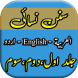 Sunan Nisai Urdu Hadith Book