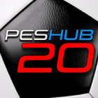 PESHUB 20-icoon