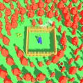 ”Square Sprint