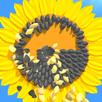 Sunflower Inc APK