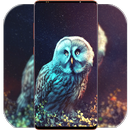 Owl Wallpaper HD APK