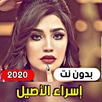 All Israa Al Aseel's songs 202 APK