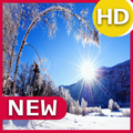 Winter Wallpapers