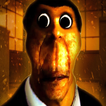 Obunga Follow Us