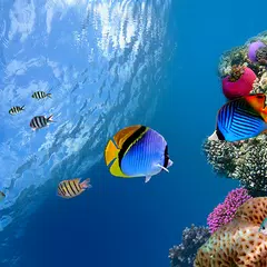 Скачать Ocean Fish Live Wallpaper APK