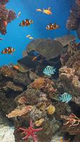 1 Schermata Ocean Fish Live Wallpaper