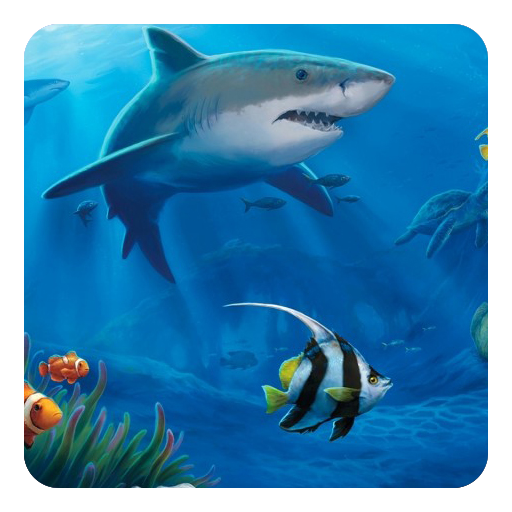 Ocean Live Wallpaper