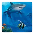 Ocean Live Wallpaper