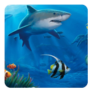 Ocean Live Wallpaper APK