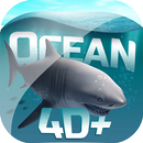 Ocean 4D+ aplikacja