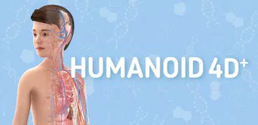 Humanoid 4D+