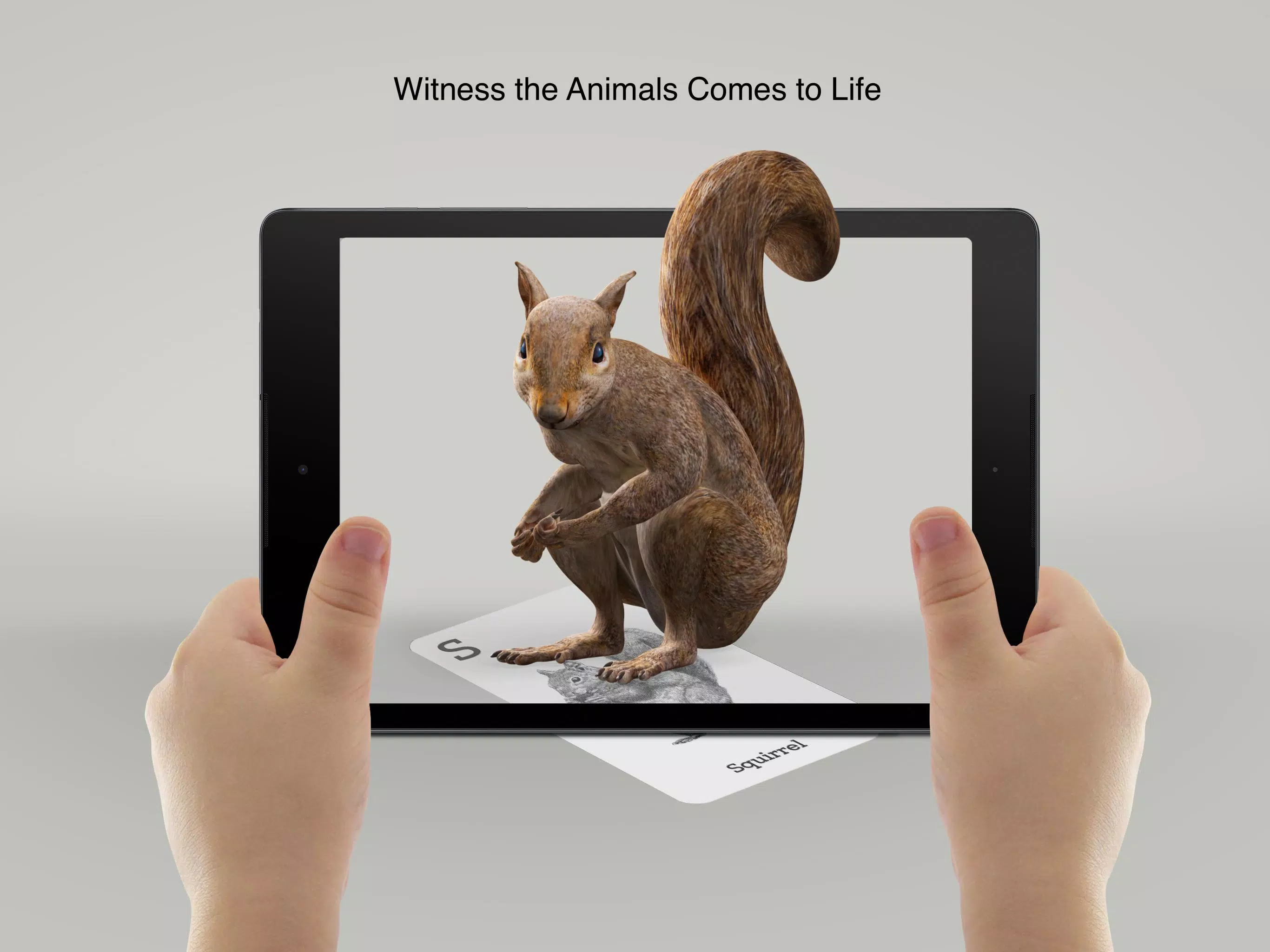 Tải xuống APK Animal 4D+ cho Android Tải xuống APK Animal 4D+ cho Android